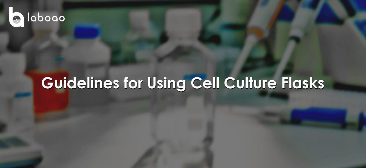 Guidelines for Using Cell Culture Flasks