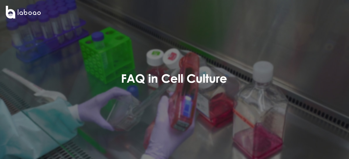 Common Problems And Solutions In Cell Culture