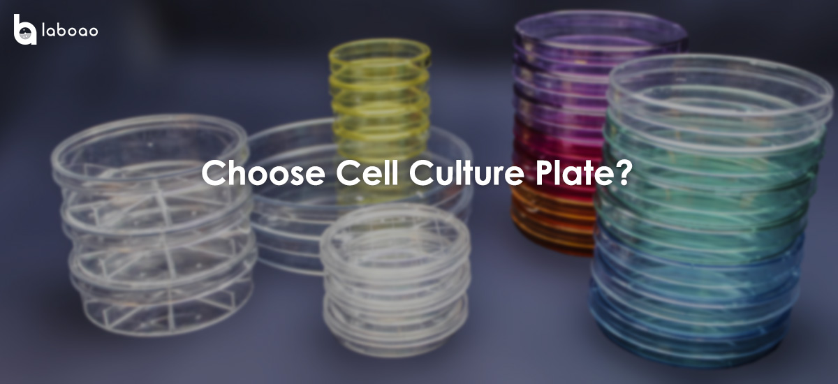 How To Choose The Right Cell Culture Plate?