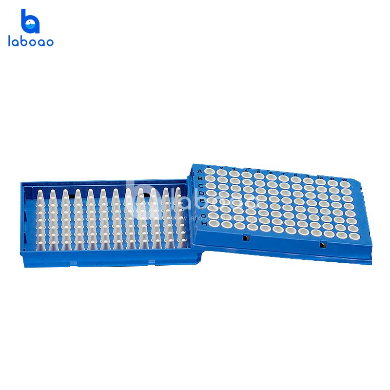 96 Holes PCR Plates