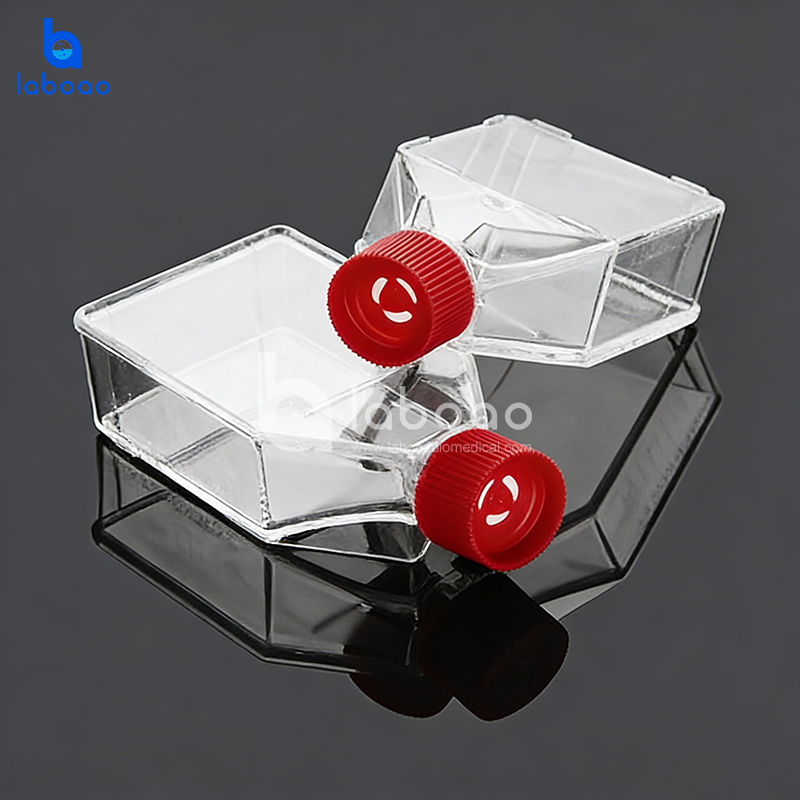 Biological Cell Culture Flasks