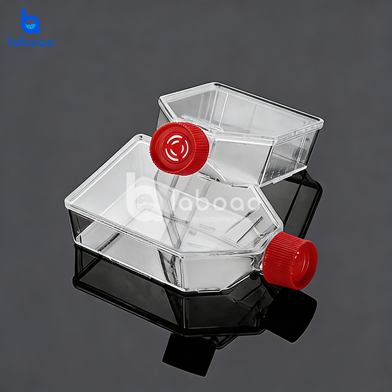 Biological Cell Culture Flasks